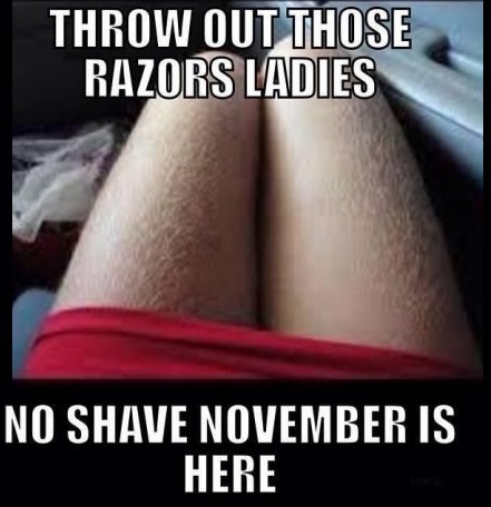 No Shave November Is Here Funny Image