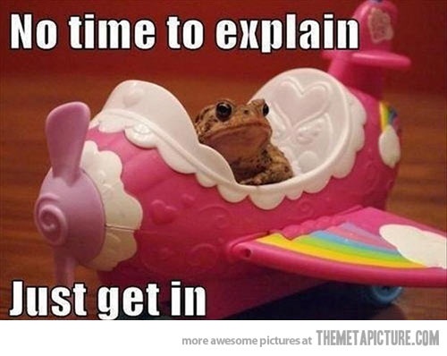 No Time To Explain Funny Frog Picture