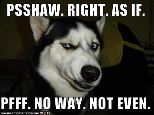 No-Way-Funny-Dog-Meme-Picture.jpg
