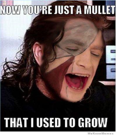 Now You Are Just A Mullet Funny Meme Image