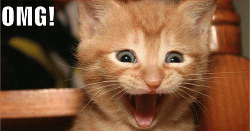 OMG Excited Face Cat Funny Picture