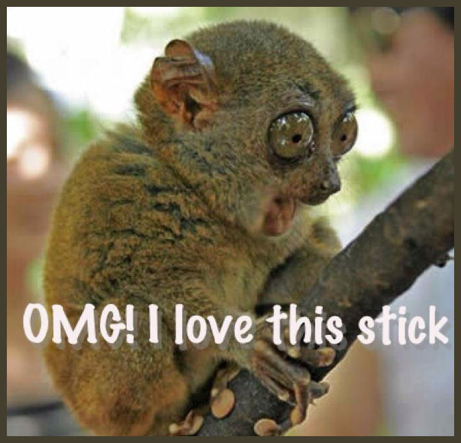 OMG I Love This Stick Funny Picture