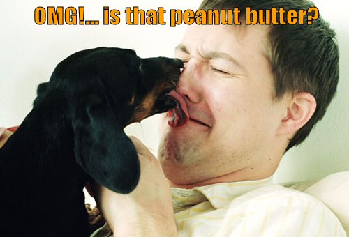 OMG IS That Peanut Butter Funny Dog Licking Man Face