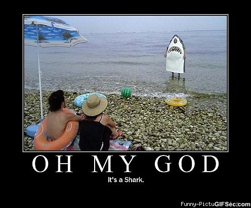 Oh My God It's A Shark Funny Picture