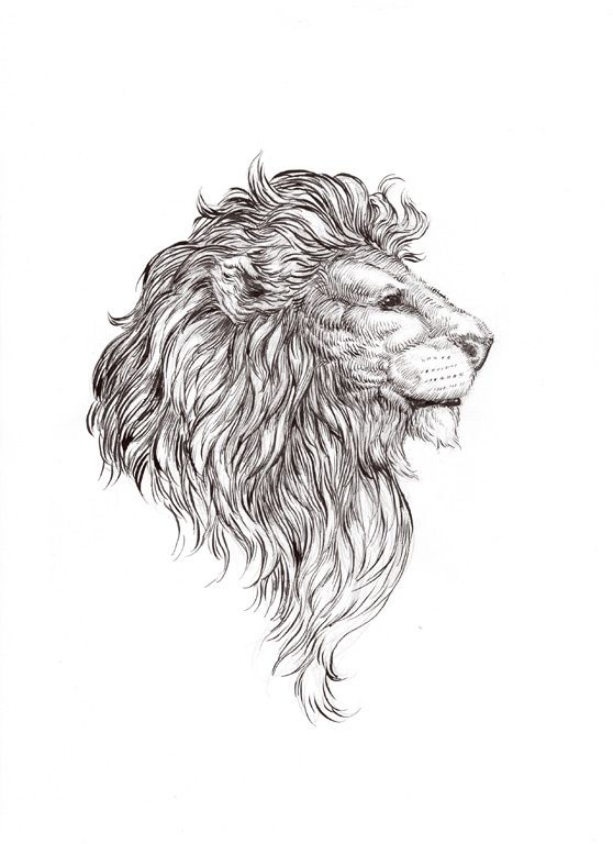 Old lion face tattoo design