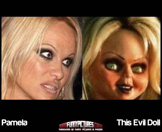 Pamela And This Evil Doll Looks Alike Funny Picture