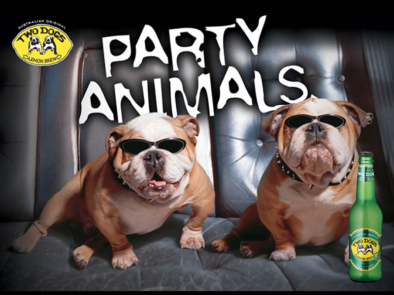 Party Animals Funny Picture