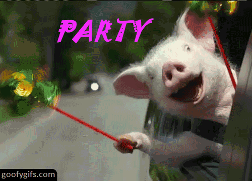 Party Hard Funny Pig Gif