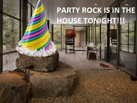 Party Rock Is In The House Tonight Funny Picture