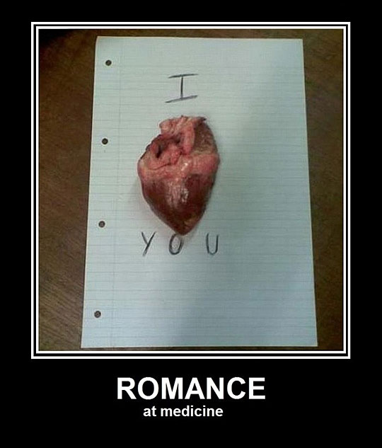 Romance At Medicine Funny Love Letter Poster