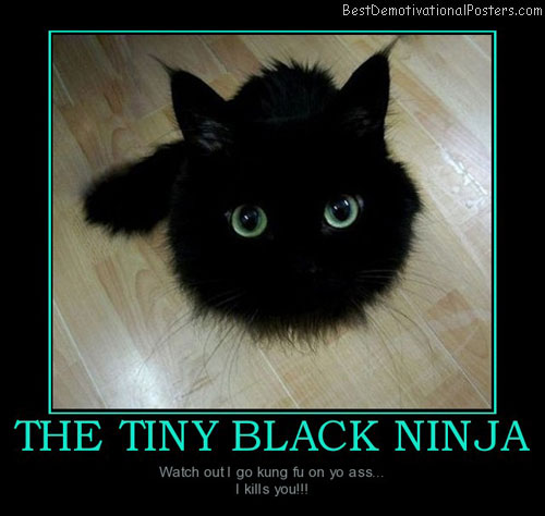The Tiny Black Ninja Funny Poster