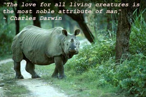 The love for all living creatures is the most noble attribute of man. (1)