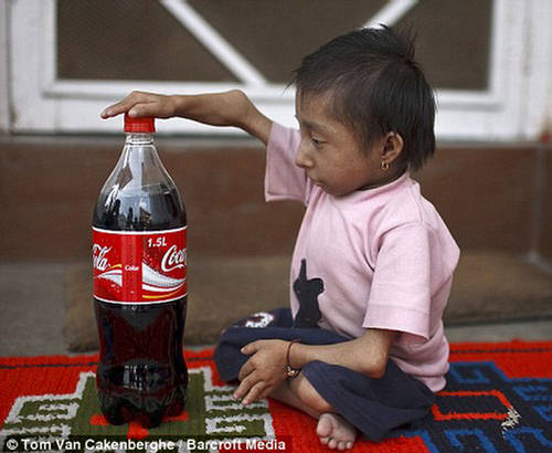 Tiny Boy With Coca Cola Bottle Funny Image