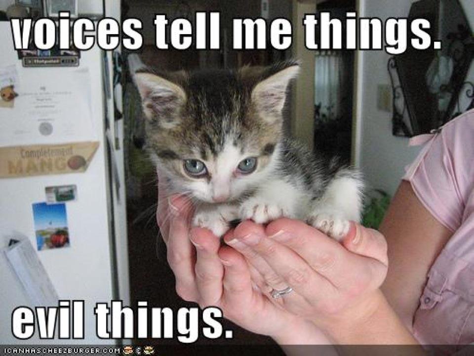 Voices Tell Me Things Evil Funny Kitten