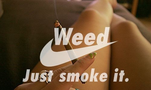 Weed Just Smoke It Funny Picture