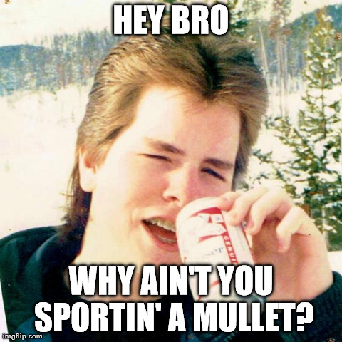 Why Ain't You Sportin A Mullet Funny Meme Picture