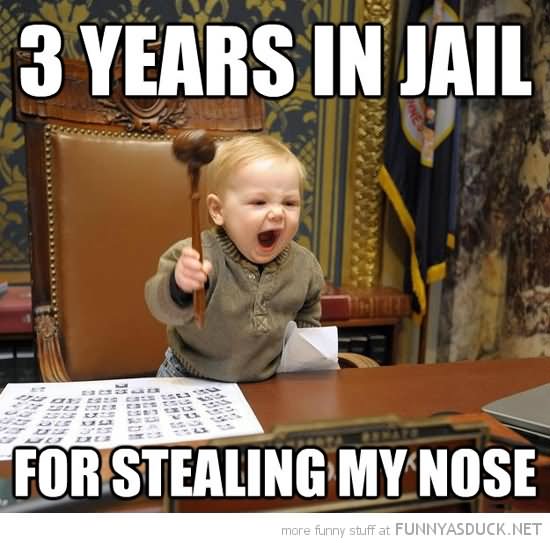 3 Years In Jail For Stealing My Nose Funny Picture