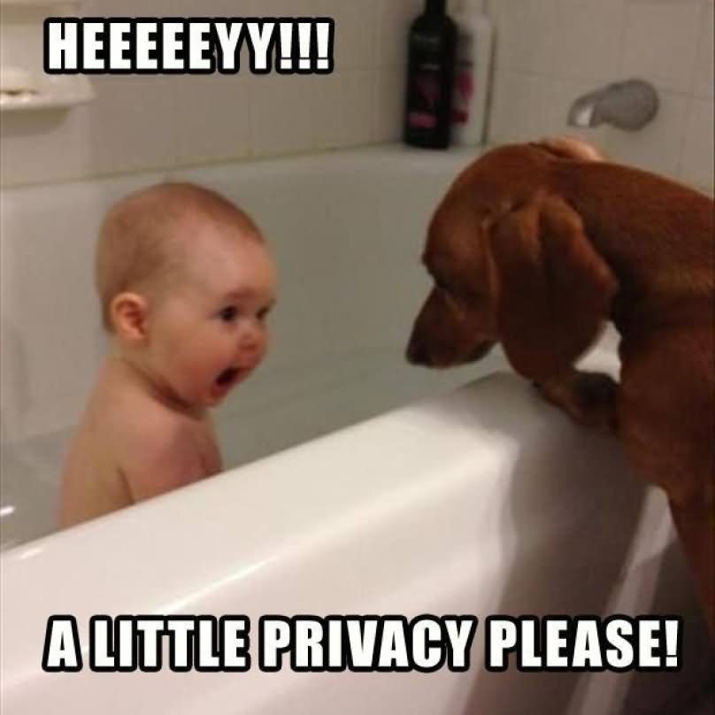 Baby Say To Dog A Little Privacy Please Funny Image