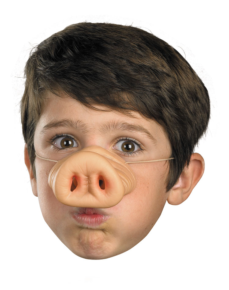 Boy With Pig Nose Mask Funny Image