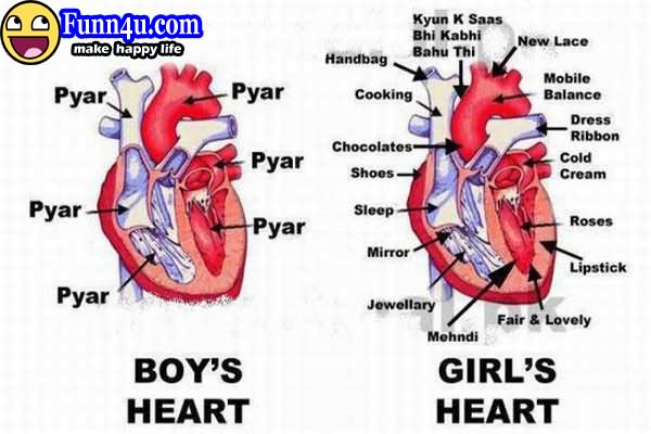 Boy's Heart Vs Girl's Heart Funny Image