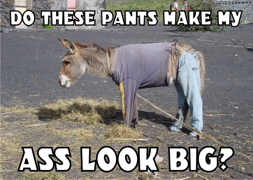 Read Complete Do These Pants Make My Ass Look Big Funny Meme
