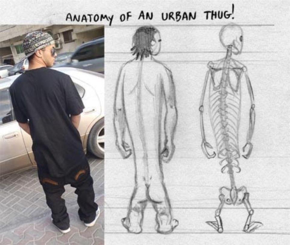 Funny Pant Anatomy Of An Urban Thug