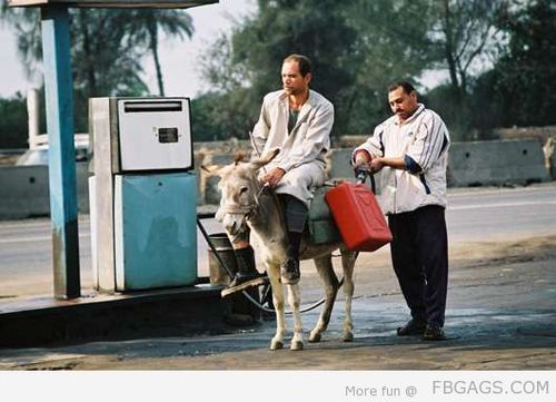 Guy On Donkey Filling Fuel Funny Image
