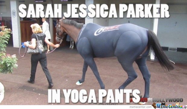 Horse In Yoga Pants Funny Picture
