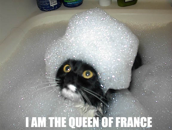 I Am The Queen Of France Funny Loser Cat