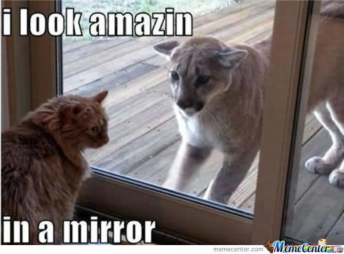 I Look Amazin In A Mirror Funny Image