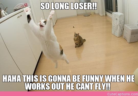 So Long Loser Funny Cat Image