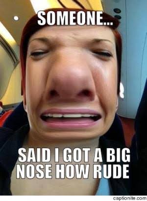 Someone Said I Got A Big Nose How Rud Funny Picture