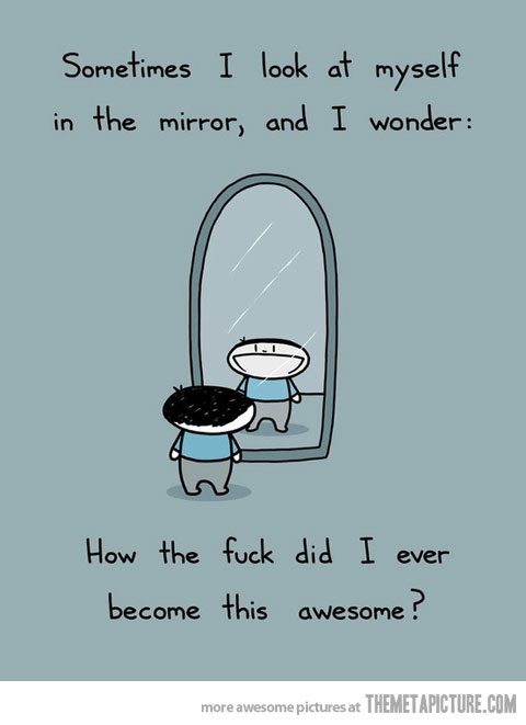 Sometimes I Look At Myself In The Mirror And I Wonder Funny Cartoon