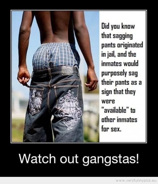 Watch Out Gangstas Funny Pant Low