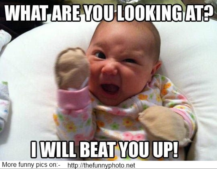 What Are You Looking At I Will Beat You Up Funny Angry Baby Image