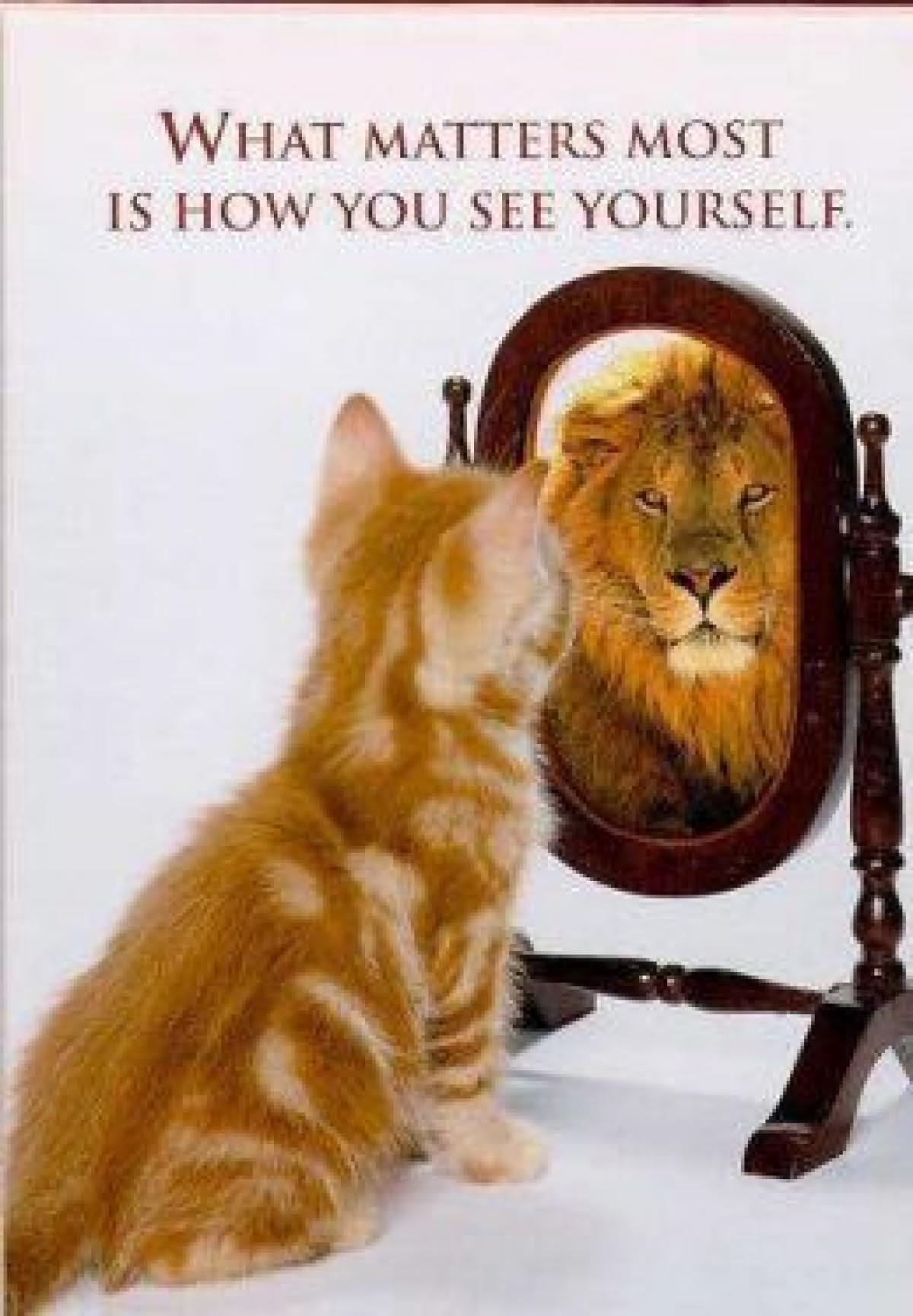 What Matters Most Is How You See Yourself Funny Cat Mirror Image