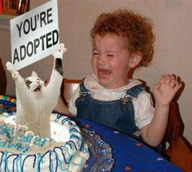 You Are Adopted Funny Image