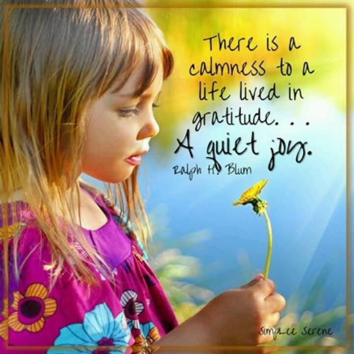 there is a calmness to a life lived in gratitude a quiet joy 2