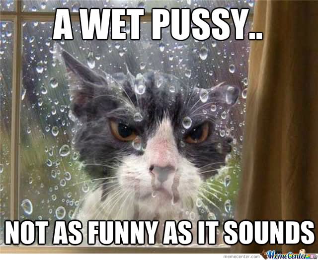 A Wet Pussy Funny Picture