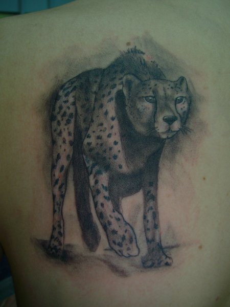 Amazing Grey Cheetah Tattoo