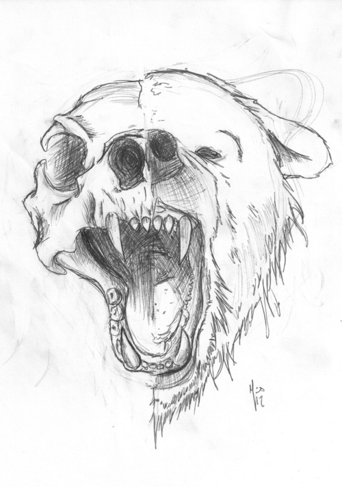 Bear Head With Half Skull Tattoo Design
