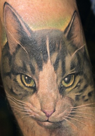 Beautiful Cat Head Tattoo On Arm