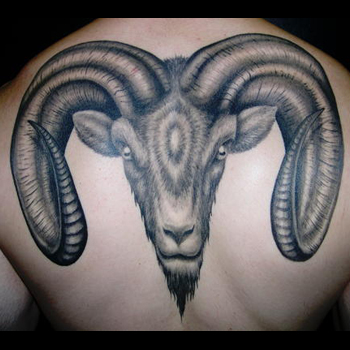 Black And Grey Goat Head Tattoo On Upper Back
