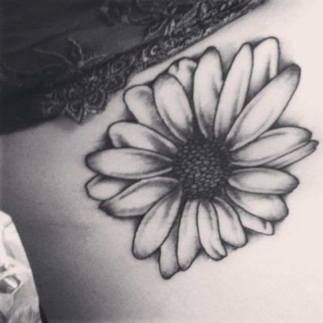 Black And White Daisy Flower Tattoo On Side Rib
