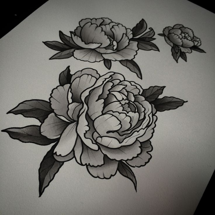 Black And White Peony Flower Tattoos Design