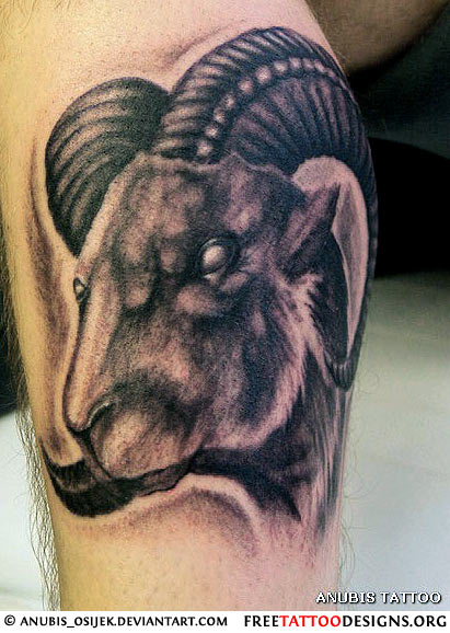 Black Ink Goat Head Tattoo Design For Leg