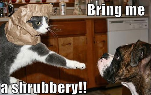 Bring Me A Shrubbery Funny Cat And Dog Comments