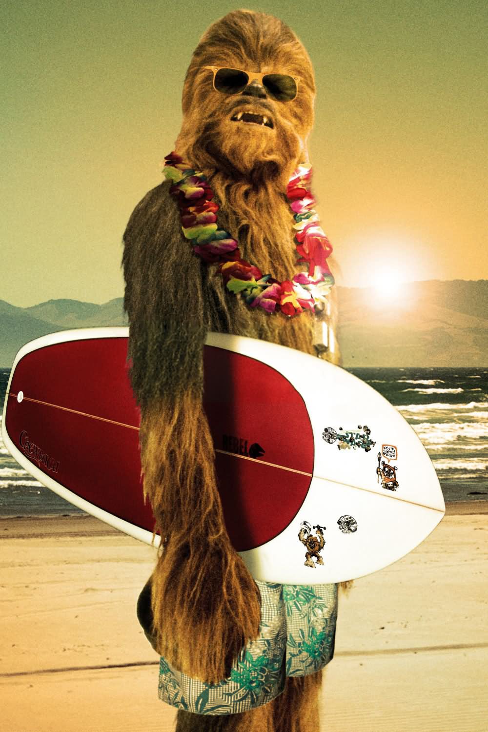Chewbacca Funny Surf Image