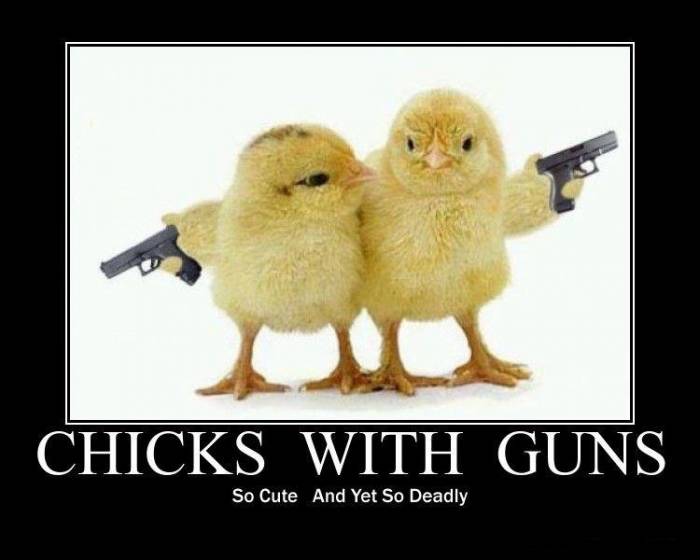 Chicks With Guns Funny Poster