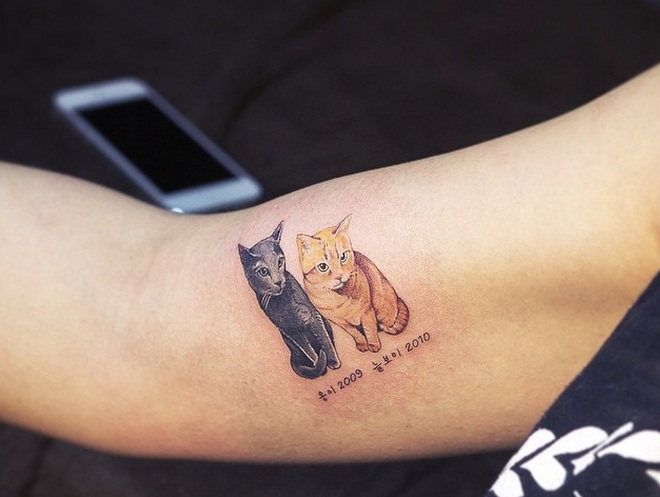 Cute Memorial Cat Tattoos On Bicep